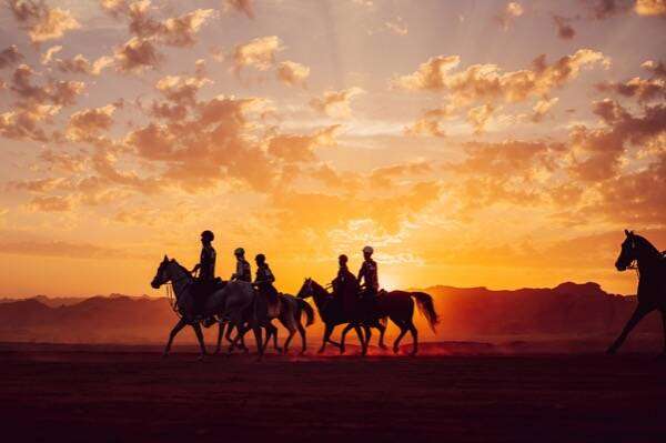 جانب من المنافسات