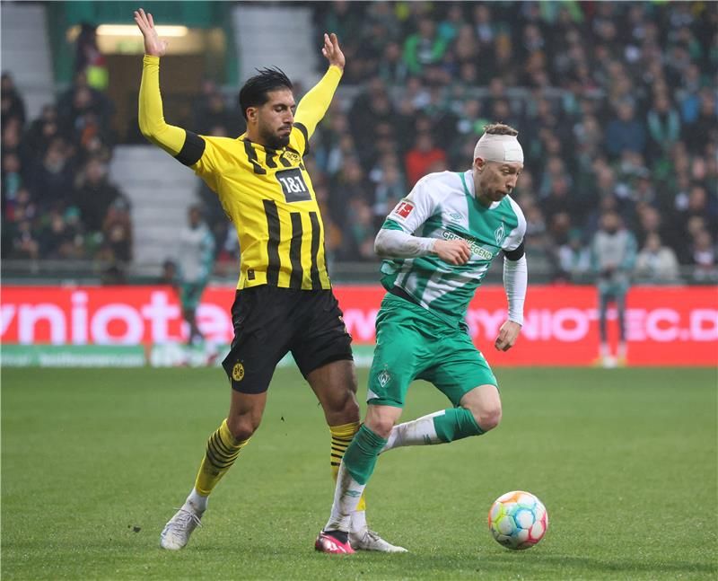 ميتشيل فايزر