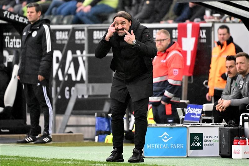 دانييل فاركي