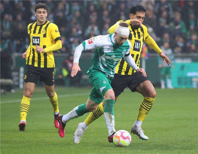 ميتشل فايزر