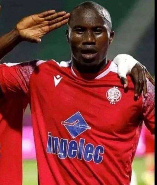 سامبو جونيور