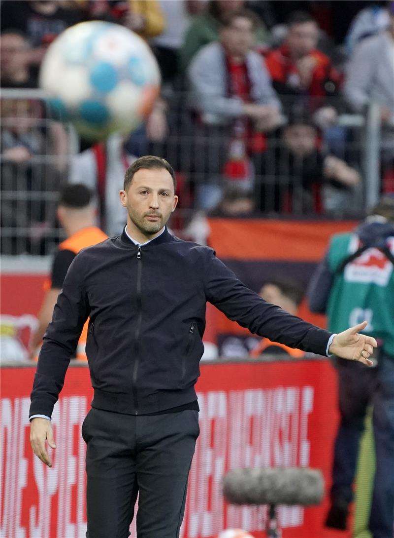 دومينيكو تيديسكو