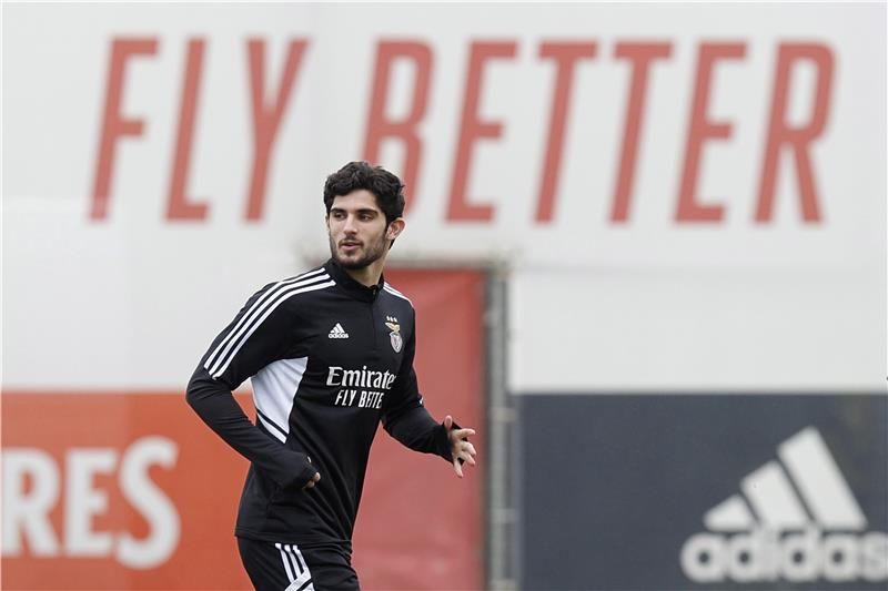 جونكالو جويديس