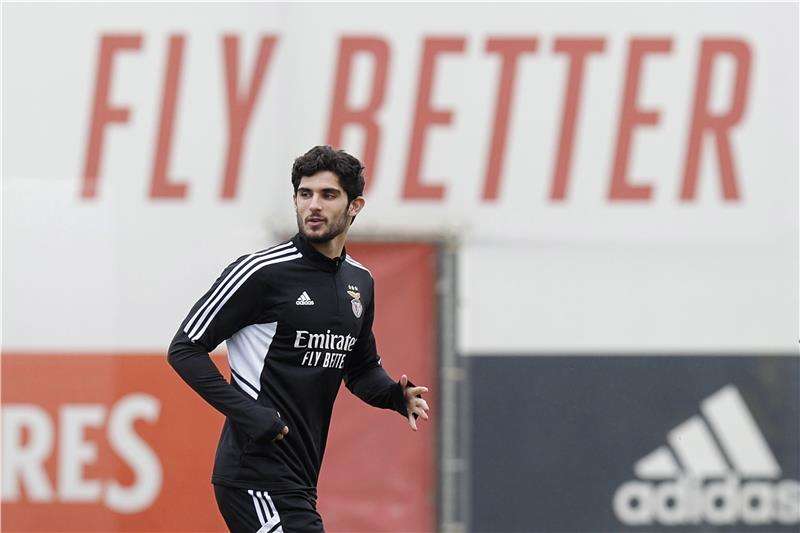 جونكالو جويديس