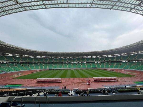 ملعب جذع النخلة