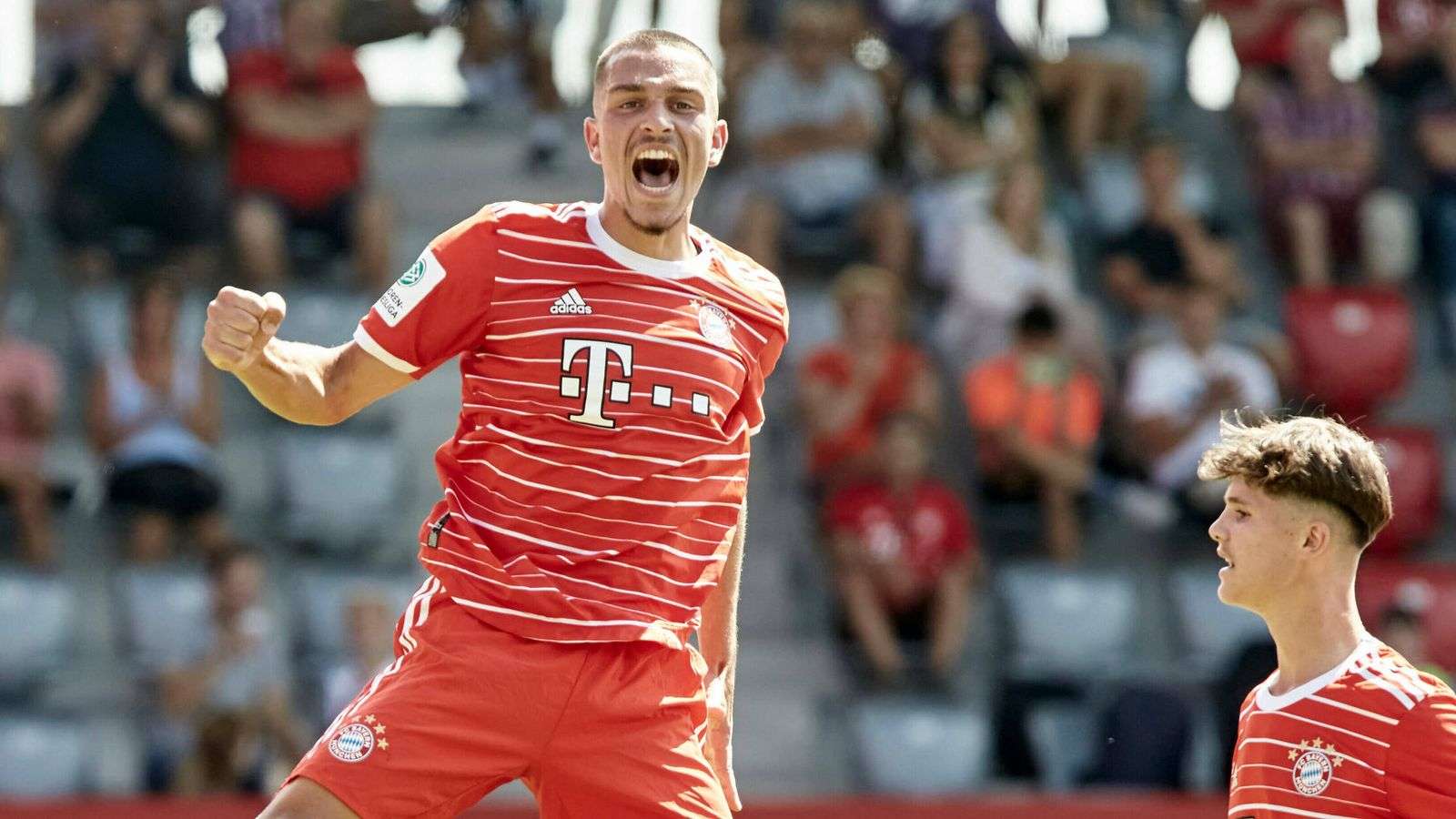 آريون إبراهيموفيتش