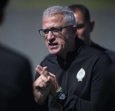 منذر الكبير