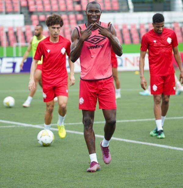 سامبو جونيور