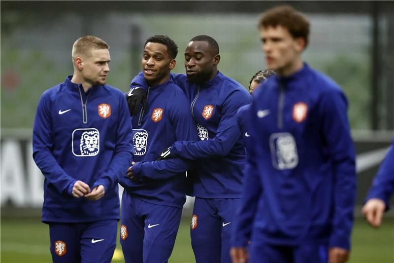 من مران منتخب هولندا