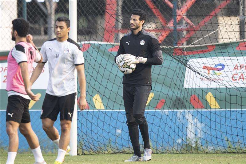 محمد الشناوي