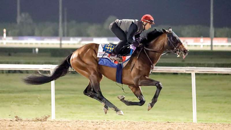 كونتري جرامر