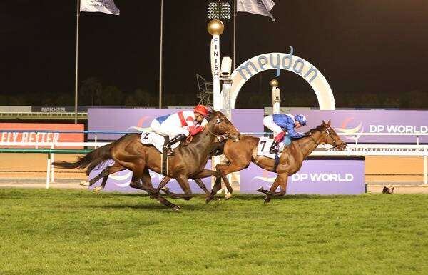 من السباقات