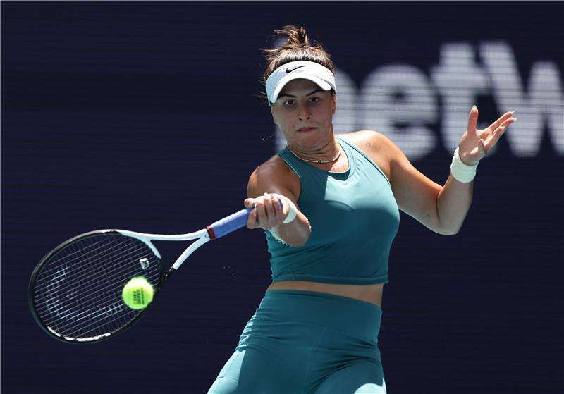 بيانكا أندريسكو