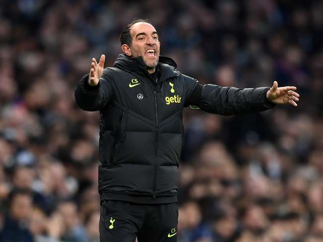 كريستيان ستيليني