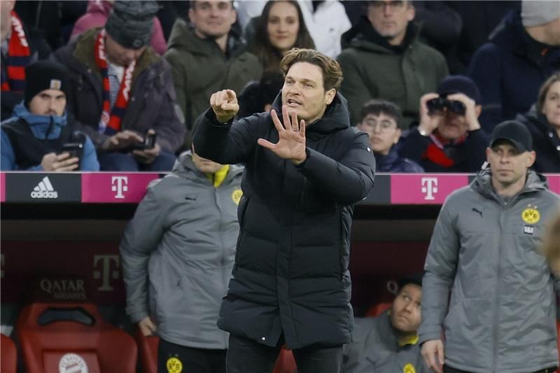 إيدين تيرزيتش