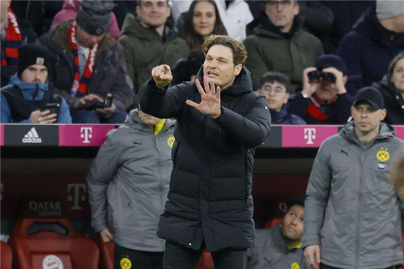 إيدين تيرزيتش