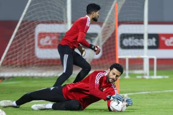 محمد الشناوي