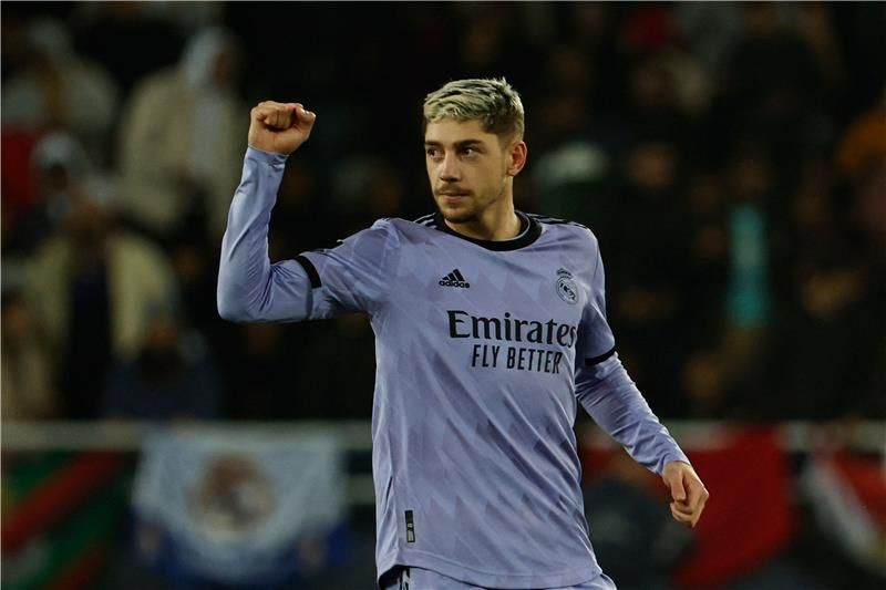 فيدي فالفيردي