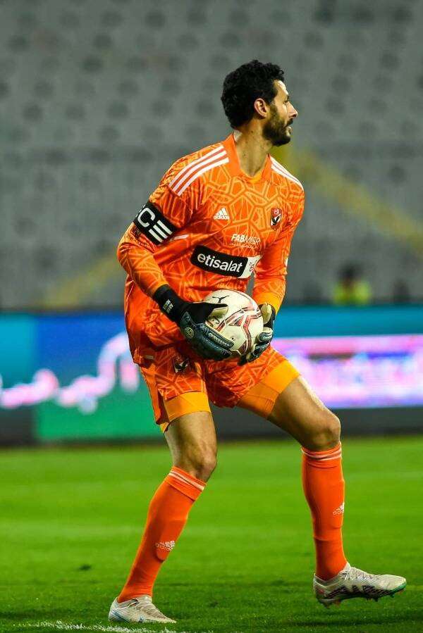 محمد الشناوي