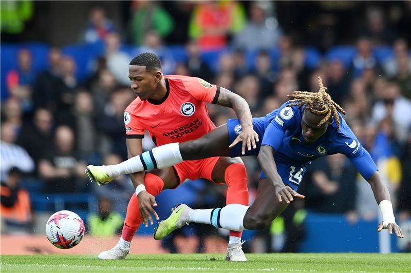 تريفوه شالوباه