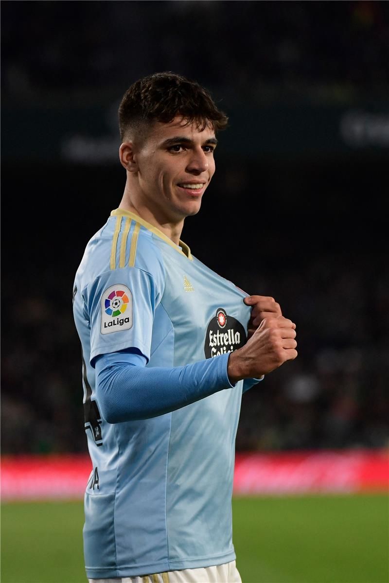 جابرييل فيجا