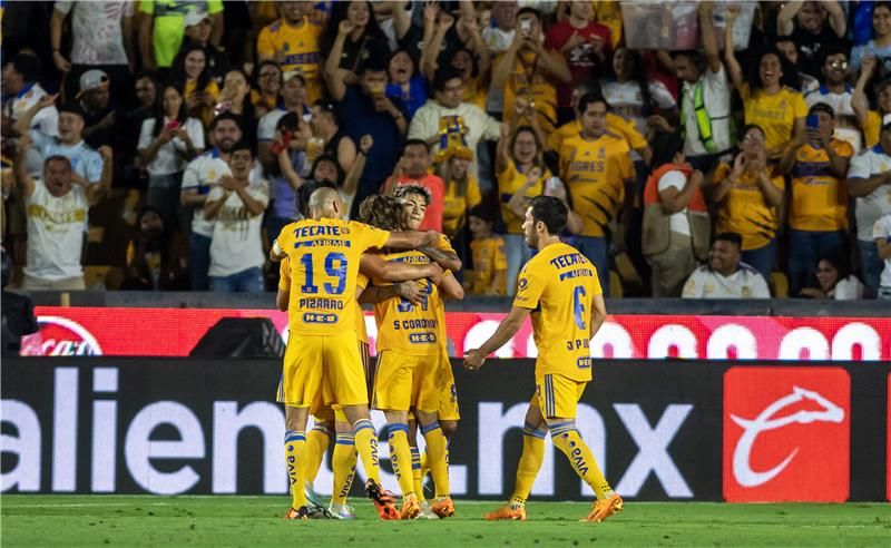 لاعبو تيجريس