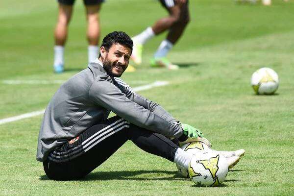 محمد الشناوي