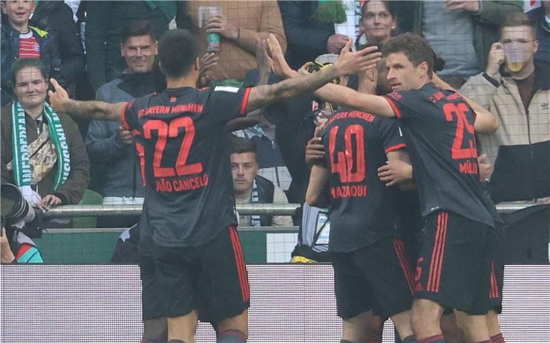 لاعبو بايرن ميونخ