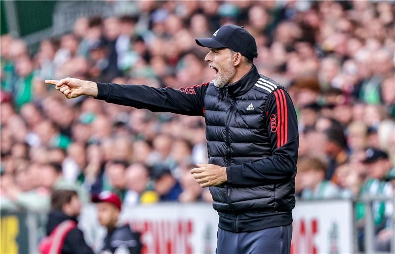 توماس توخيل