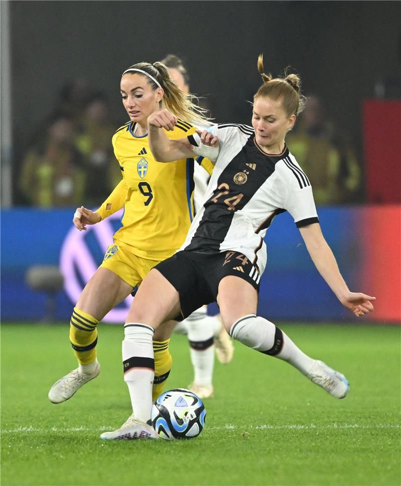 شويكي نوسكن