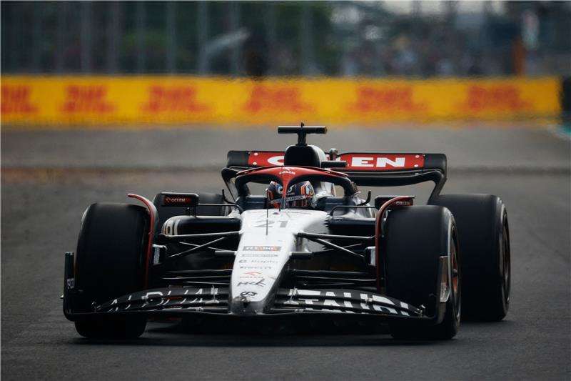 نيك دي فريس