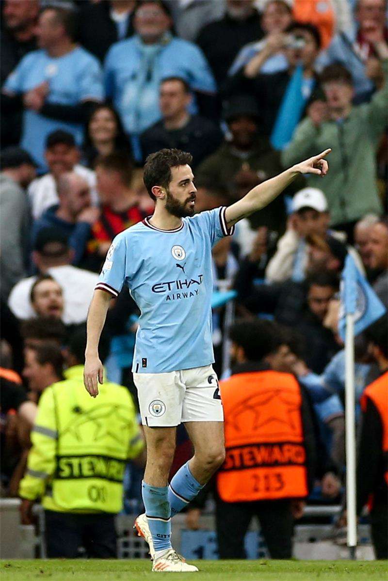 برناردو سيلفا