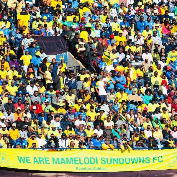 جماهير صن داونز