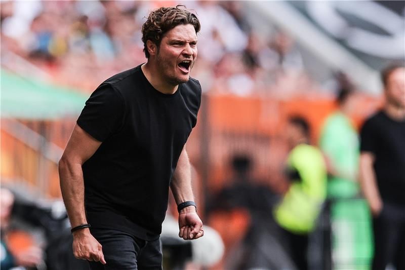 إيدين تيرزيتش