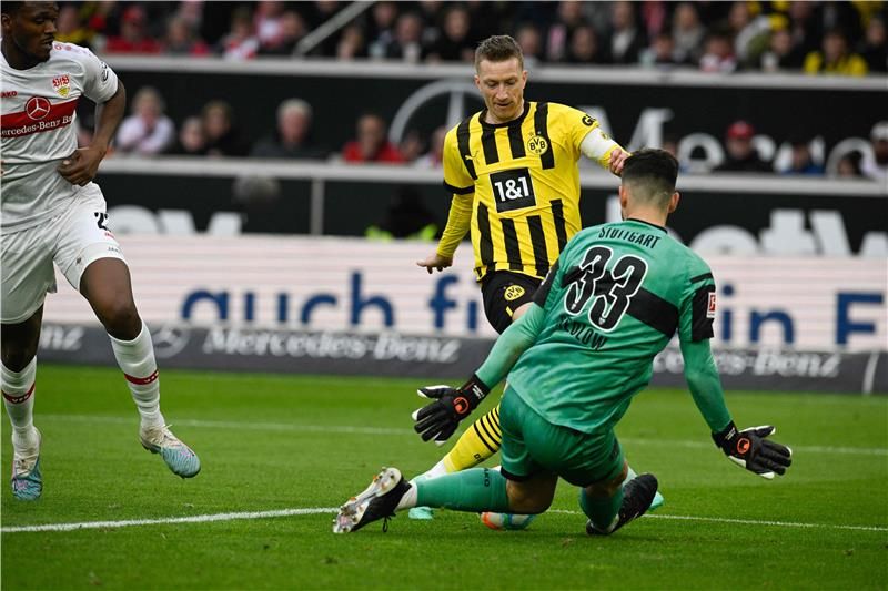 فابيان بريدلو