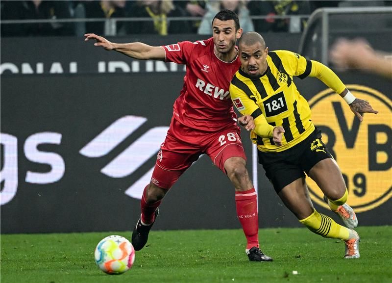 إلياس السخيري