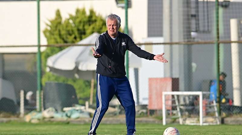 زوران مانولوفيتش