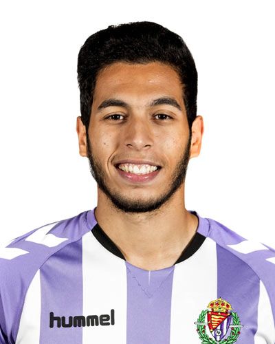 أنور التهامي