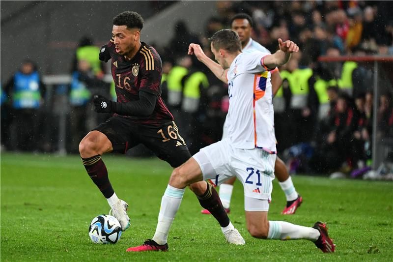 فليكس نميتشا