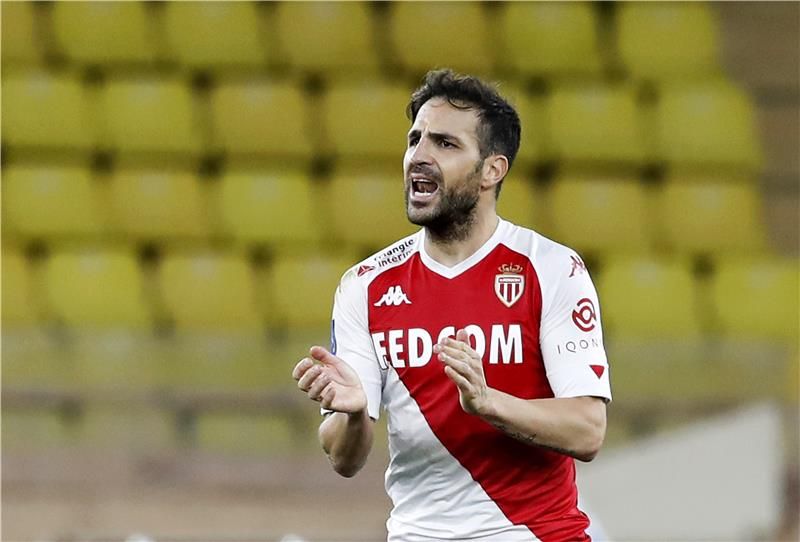 سيسك فابريجاس - أرشيفية