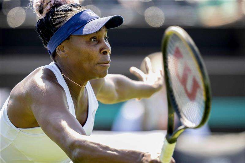 فينوس ويليامز