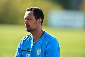 دينو توبمولر