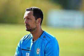 دينو توبمولر