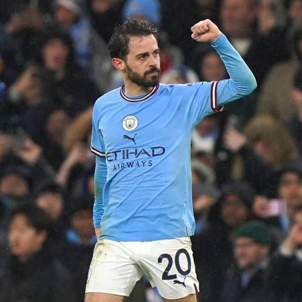 برناردو سيلفا