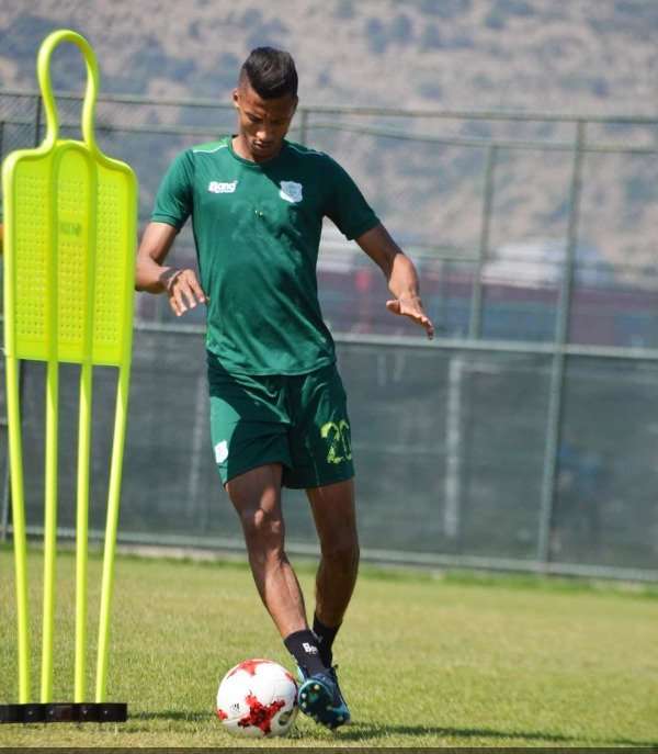 هدهودي - أرشيفية