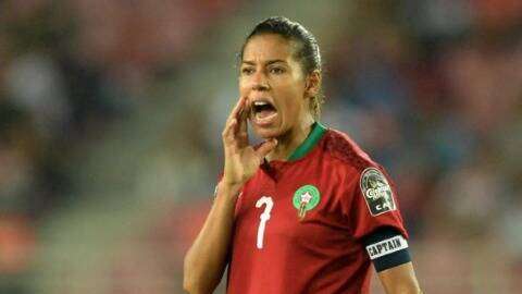 غزلان الشباك