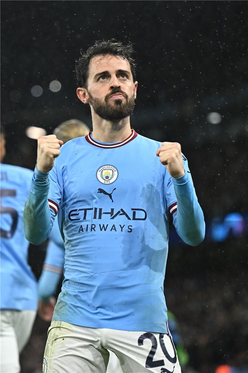 برناردو سيلفا