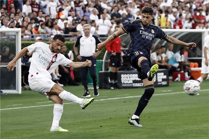 فيدي فالفيردي