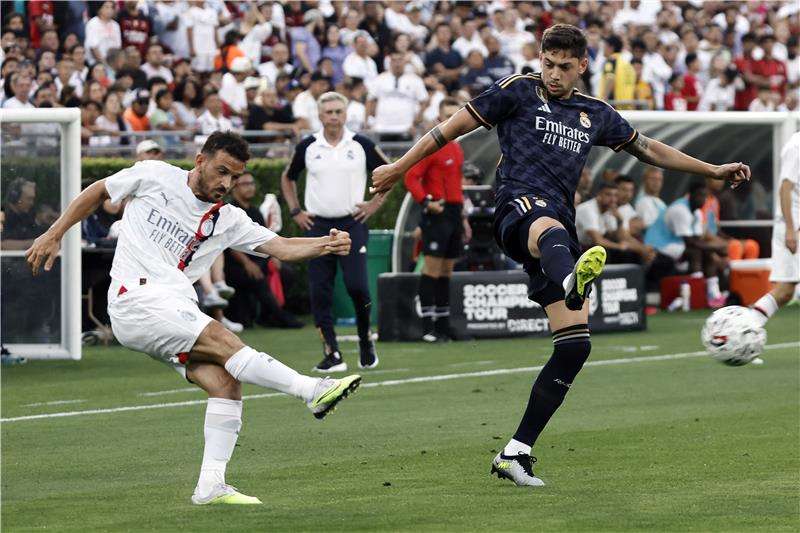 فيدي فالفيردي