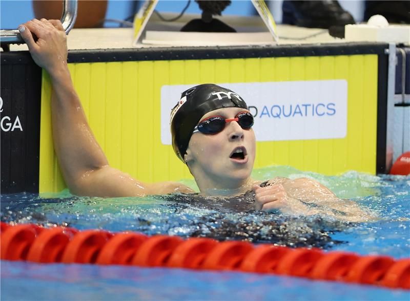 كايتي ليديكي